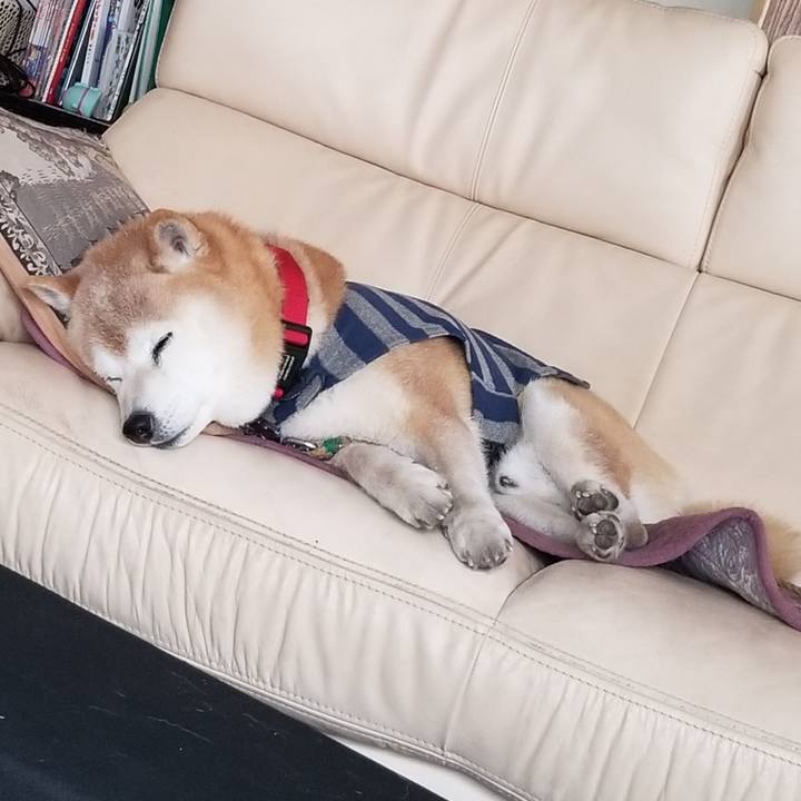 E5717967 0833 45cc a317 80b2b54d9354 1710392015200