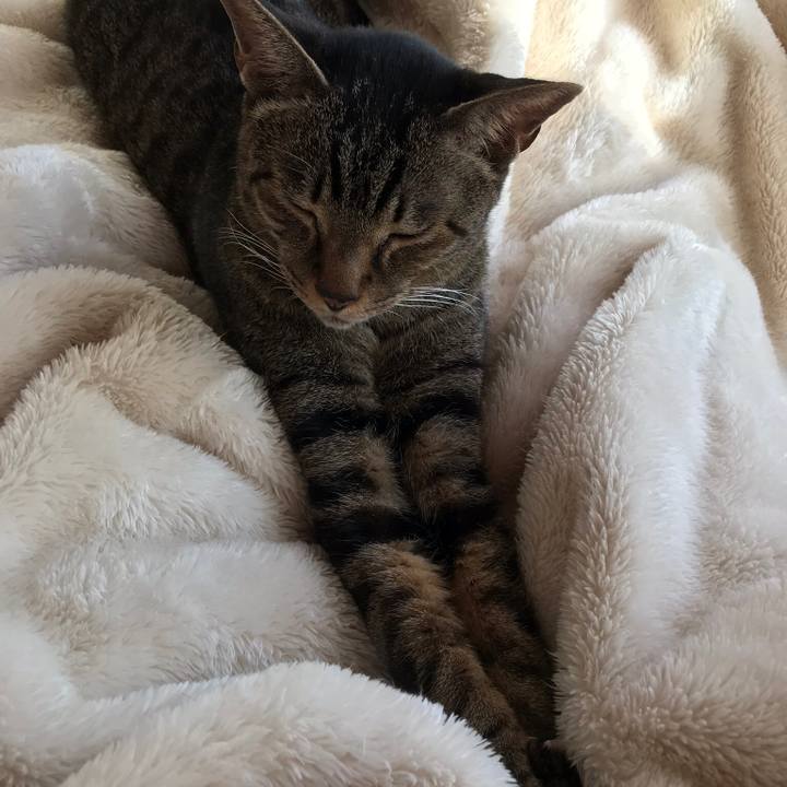 E571827c 2b2a 40a7 8f78 28d36965f56b 1515980031951