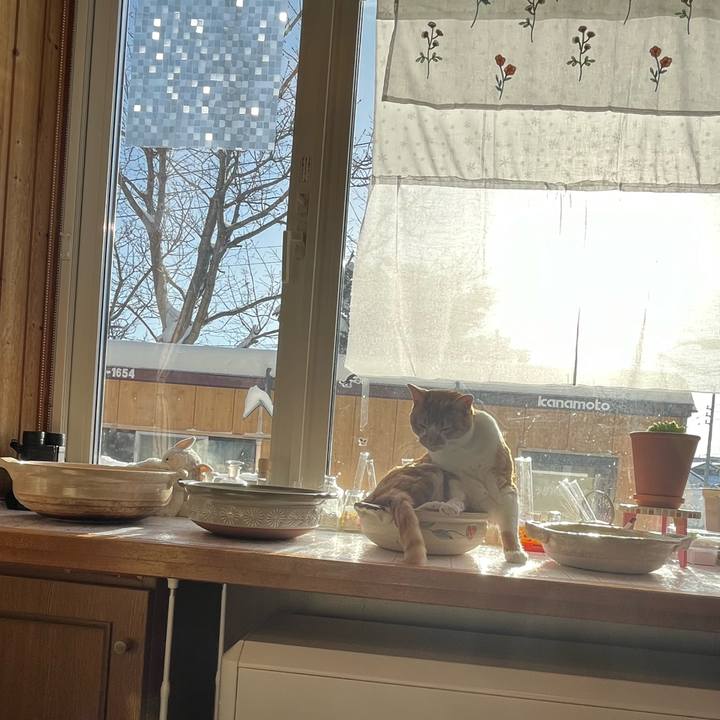 E571bb6d 01a5 4d22 aacc cd3ecb00b613 1702858736644