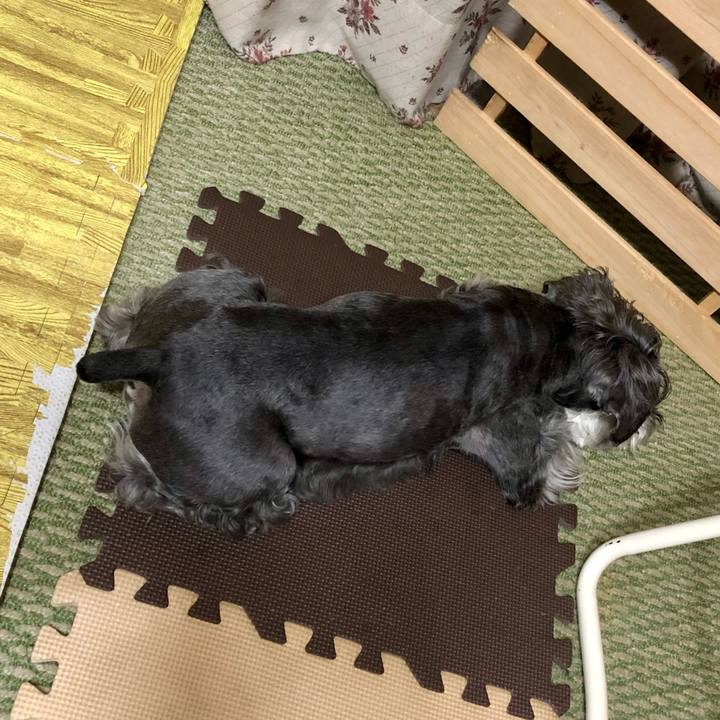 E571eab0 a924 4483 868d 9f75051bd85a 1687132345812