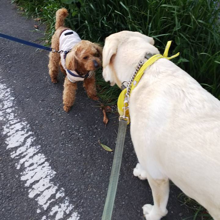 E571ec67 88d5 4df5 9f53 2a0f3e5a35f5 1555401358654