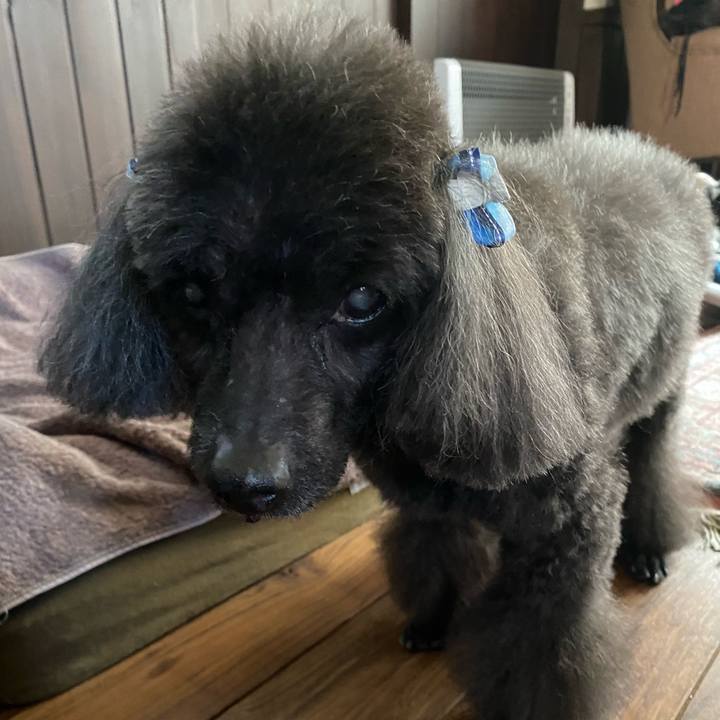 E572417b 1a4e 493b bc5a f99bdcd7774c 1612843533326