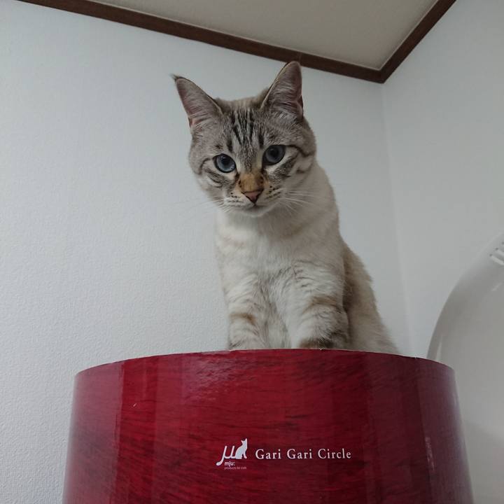 E572484c 1681 41ee be9b eb0e0b415c03 1530024214120