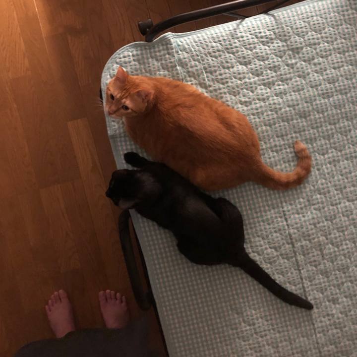 E5724abc 1168 400a 83dd 6e2be5578cac 1660247315223