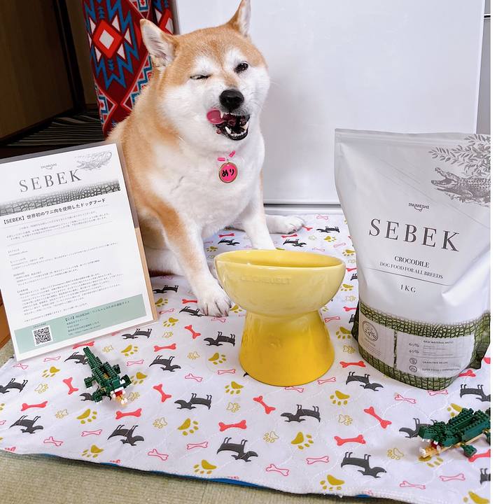 E5728917 24d6 4e5c b01c 0010ea5d95ec 1682058536384