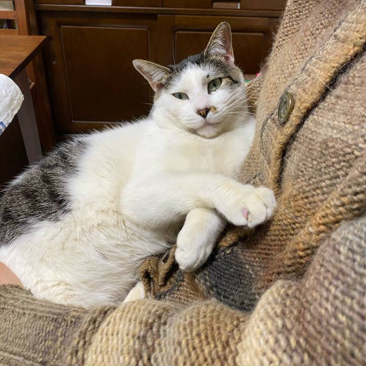 E5728a06 ea06 46bc 8455 5a619208b2e0 1639221059692