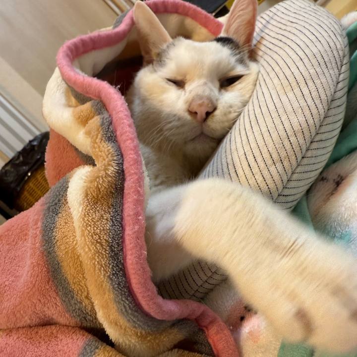 E572b3fa cbd0 4a89 8983 d1430459b4c1 1769676137493