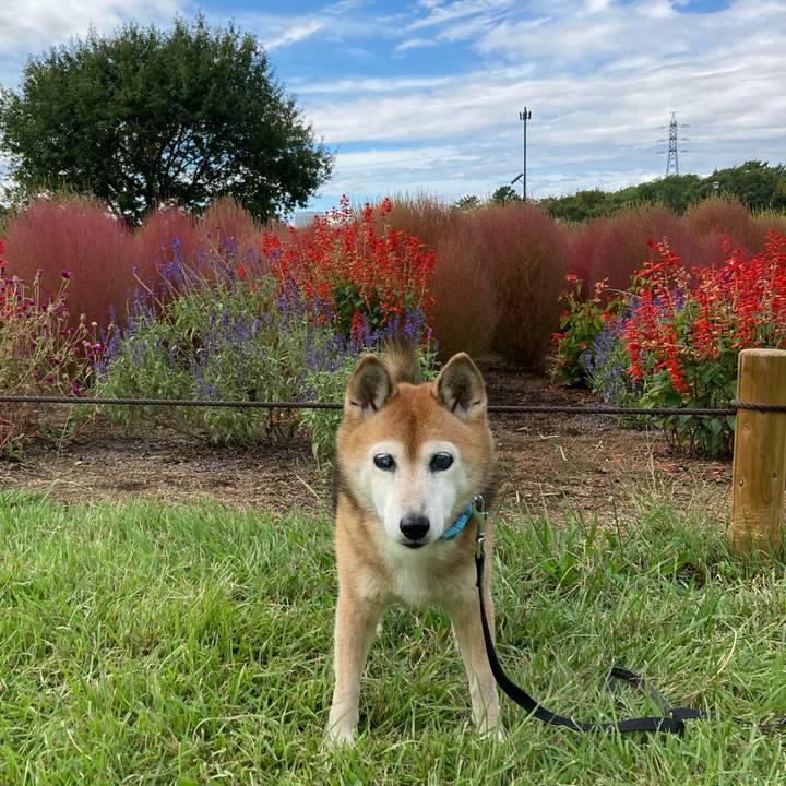 E572bef3 a5d8 44d5 bebd b82b882054cd 1759723965643