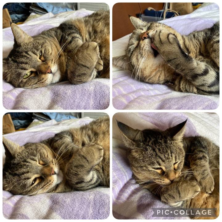 E572c766 0f4f 477c b00f 35ddcf60cc4a 1614494958305