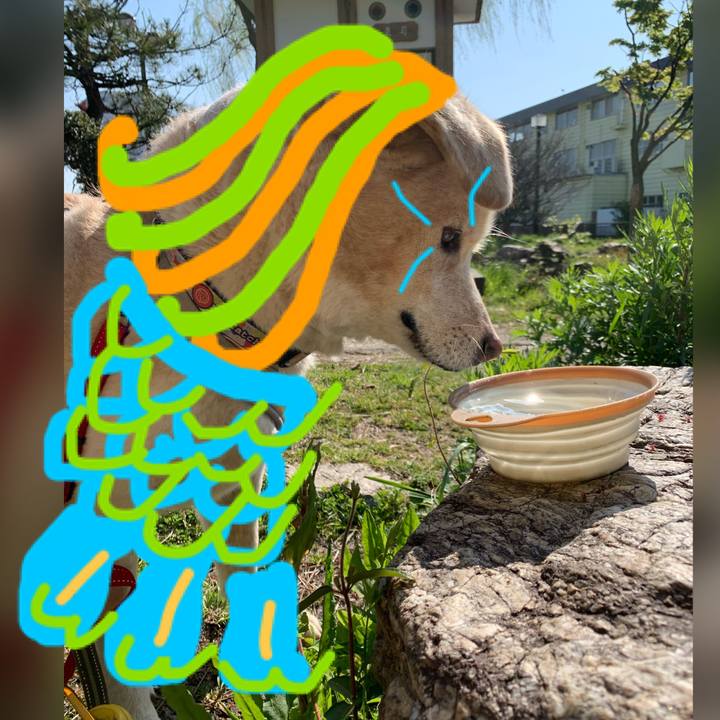 E572ff74 8bd1 4333 8ada 5ec0f15162b1 1586051198912