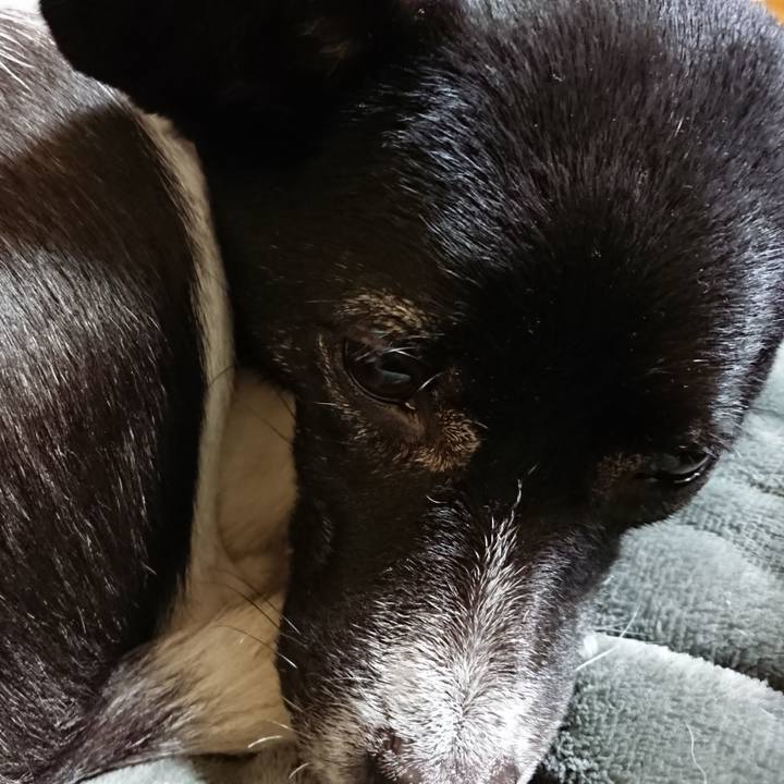 E5730d8d d7ba 4191 82a8 3c1587845ed8 1516456484800