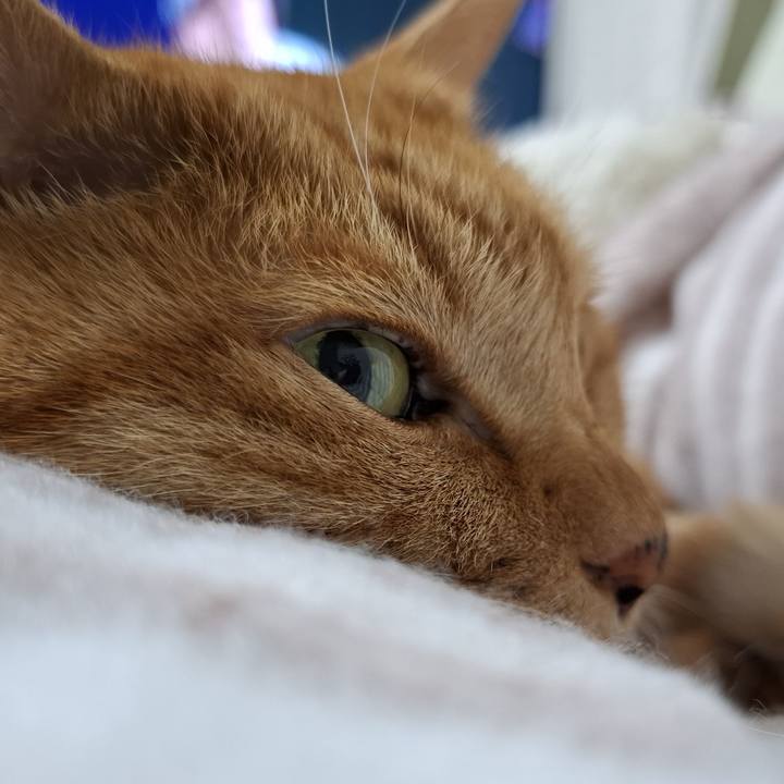 E57337f6 0058 4cd2 aedb e81db2b692ae 1732950187314