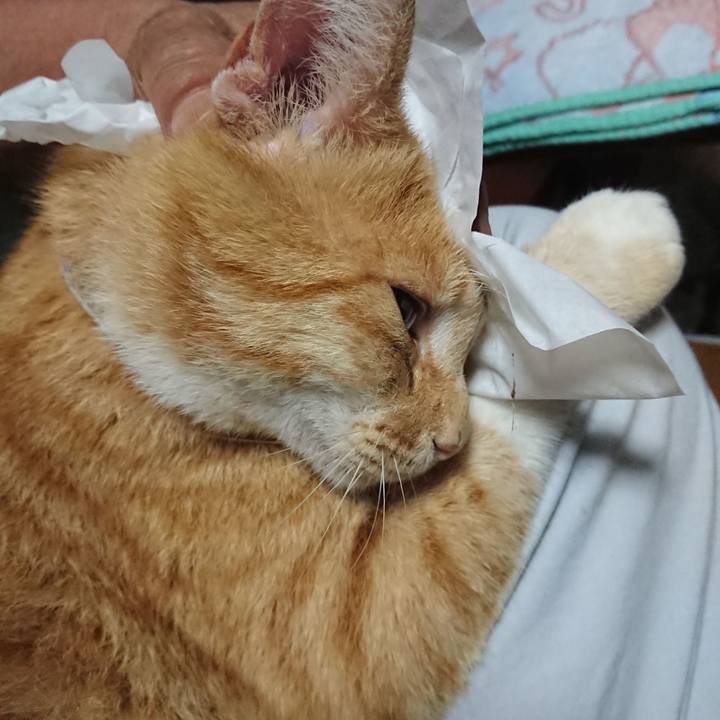 E5736bd2 04e4 4477 b26d 879b7b4e39a3 1594037221748