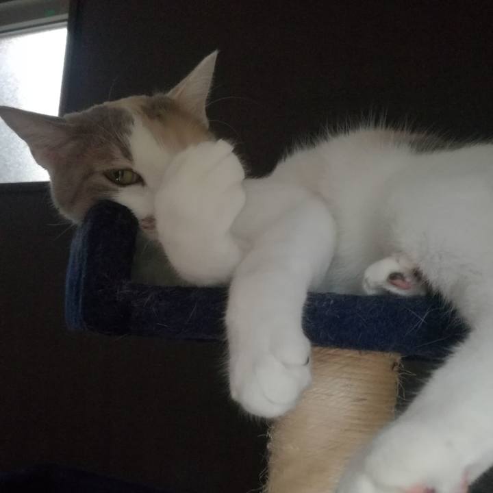 E5738783 1449 4f41 8630 4411aee1387c 1530257570261