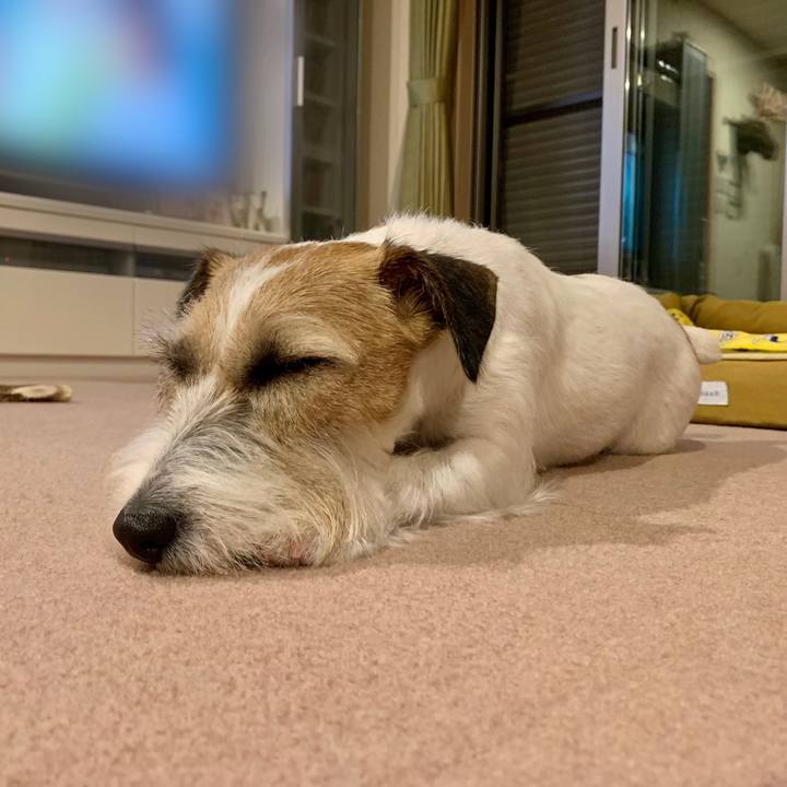 E573e0bc 7f7f 4ac8 a1e8 eeccf03ac507 1655814470543