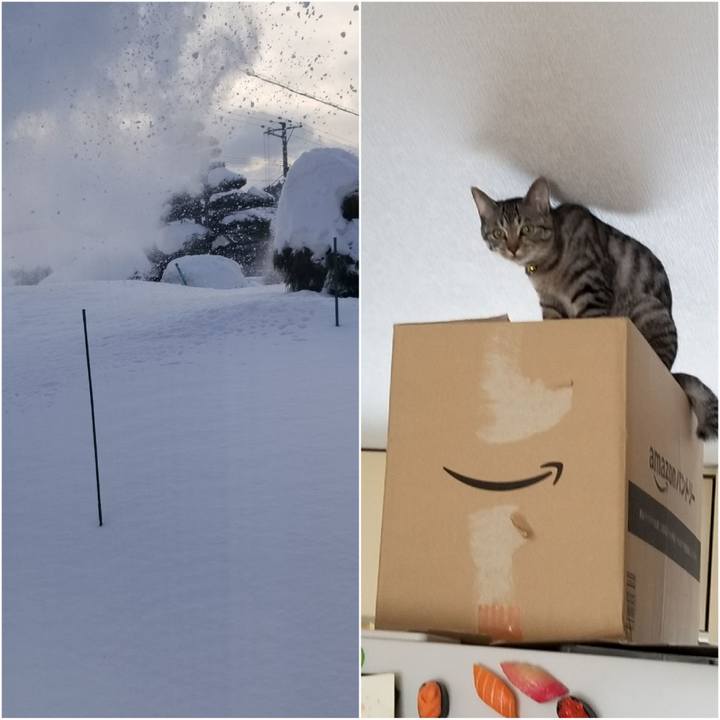 E573e305 98db 4ba0 8304 cb28c4671f95 1675296533765