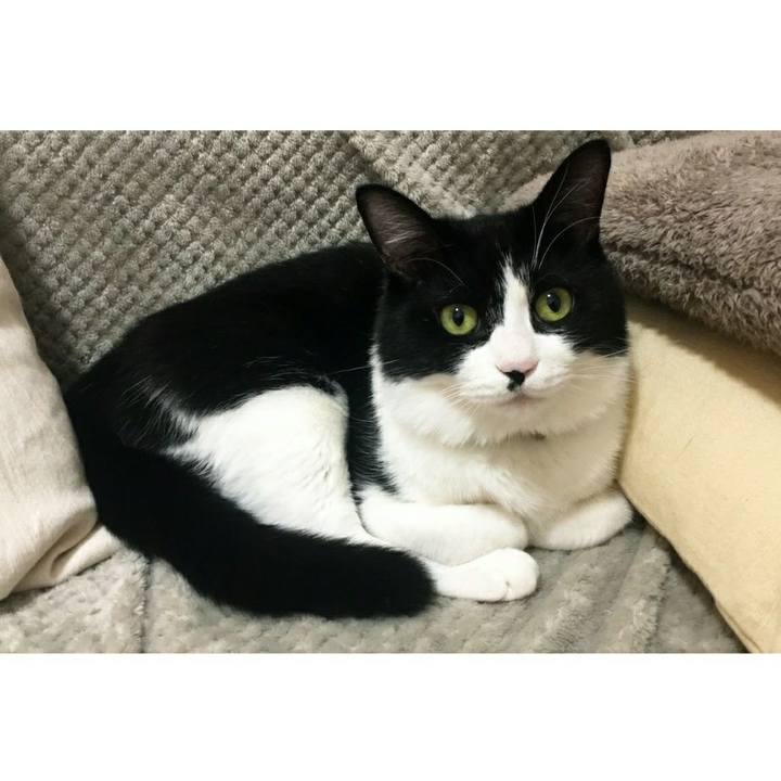 E5741e92 8595 4b67 a522 4513600a7f17 1543615948568