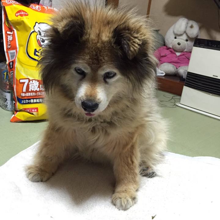 E5745c5f bbdb 4702 bc7c 97c0b5a5c46e 1660927524000