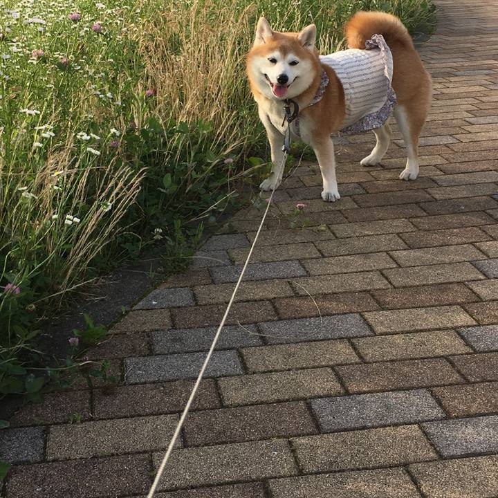 E5746275 a697 46e5 8966 f7680d7c5d0a 1530102089169