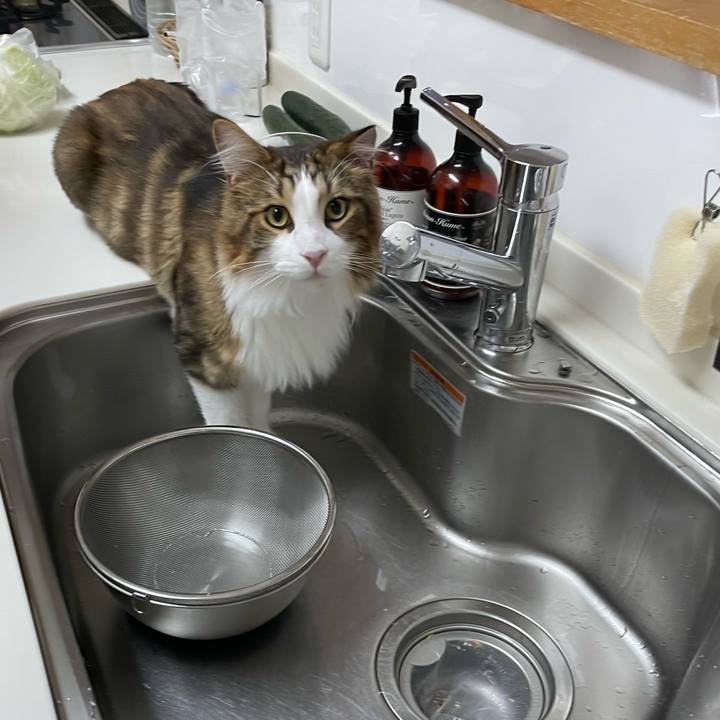 E5749cd1 5c65 427d a6d9 8a962f600506 1662667746293