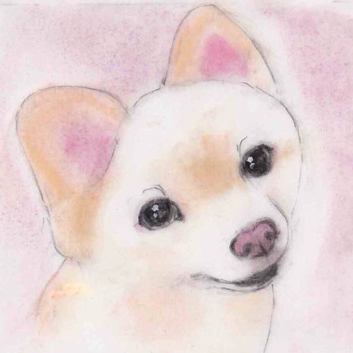 E5749e4f 82bf 4893 9b34 e636e1c121c6 1631480644097