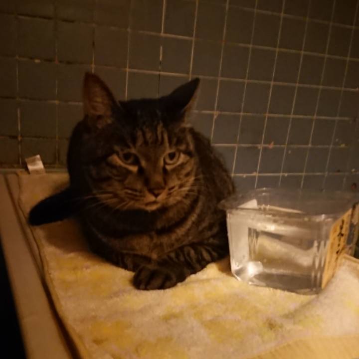 E574b54c 211e 4576 99de 2def5d418f57 1663320226107