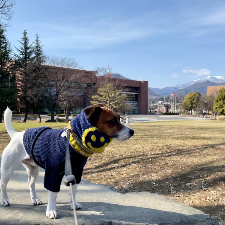 E574c3ae 7213 4342 a9ba 1b58e0007607 1646724909047