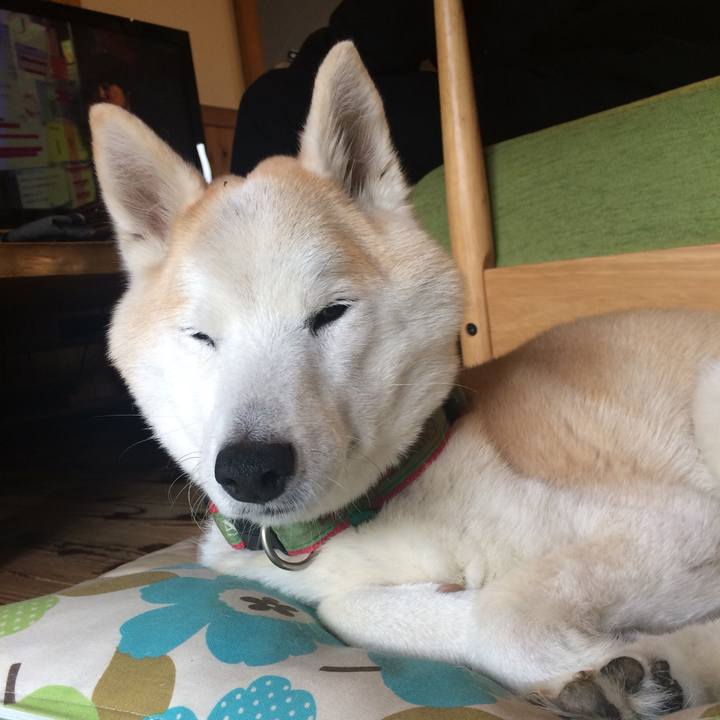 E574eeef db6a 41b1 b620 a3163235f461 1559872597753