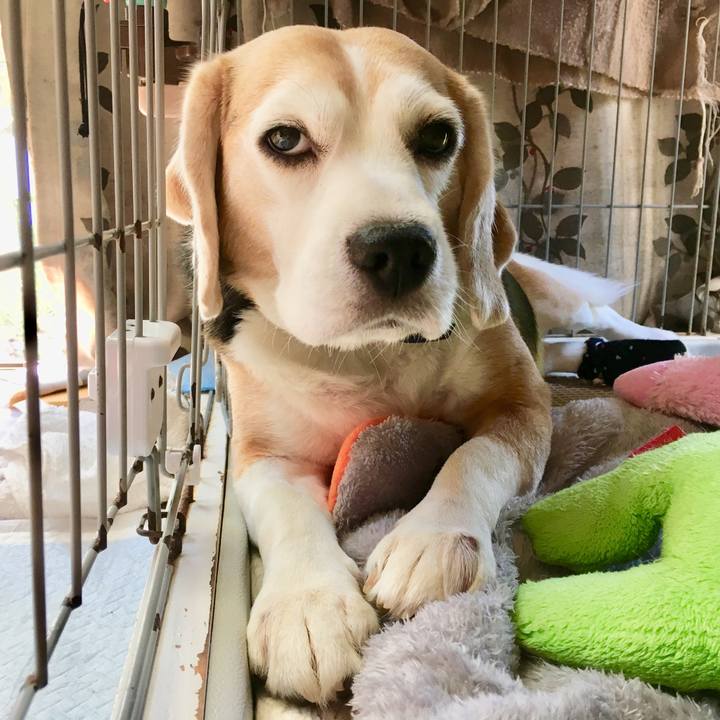 E5751838 1d94 466c a2f5 b696a431ee79 1558755268179