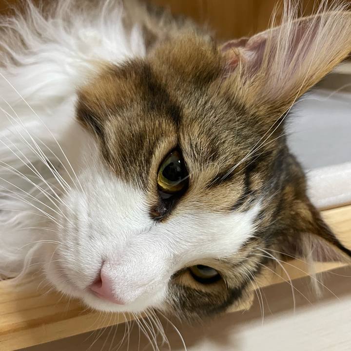 E5754aa0 18b4 4235 abb1 b4f129639877 1645475610428