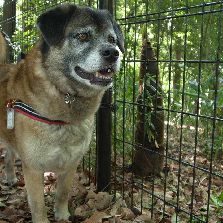 E57554f1 2d24 4476 a86b a66a824549d4 1713833873969