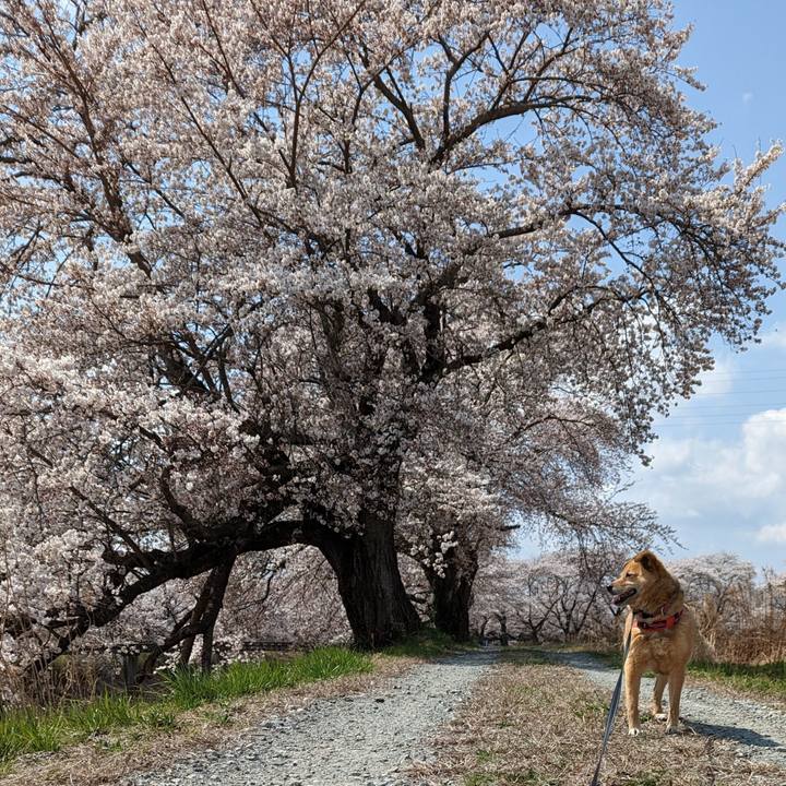 E57583ee 048d 4c6f 9d8f 09484b410567 1680531392414