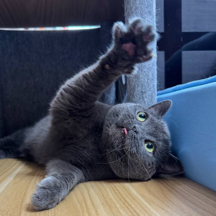 E575d232 57d4 4a41 b3ff 19994c54b4c4 1759051504518