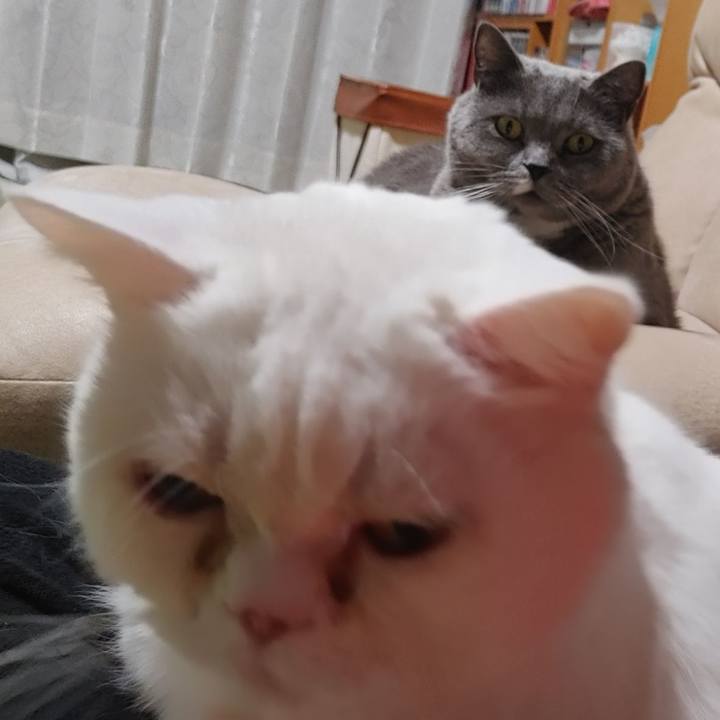 E575ee4b 6e8a 4699 ac0c 9f5cfb275112 1707734742841