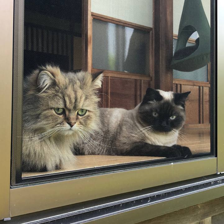 E57602e2 056e 4e04 a6f3 3d2100325371 1619832321812