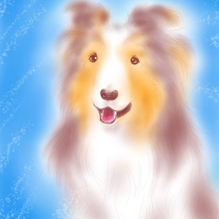 E5766a93 25bf 4455 97cd e2b23e6ffaca 1548127758215