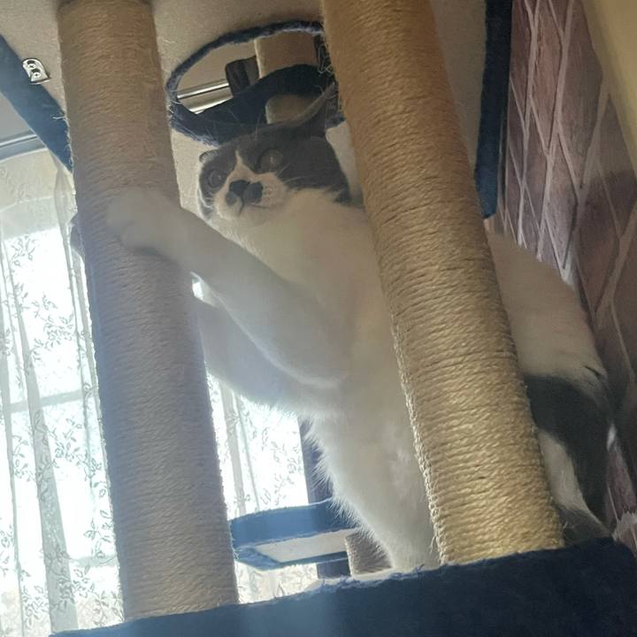 E5768788 c849 4e80 bb3d 86efb9b74139 1625909237733