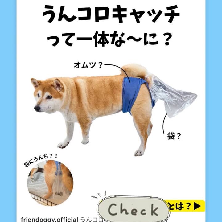 E576f5ff cdc3 4ece 9f85 839e2e1a99d4 1748404128575