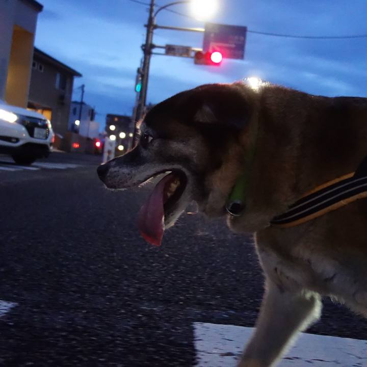 E5770c4f cb88 46dc 8b3e dd8659bf7703 1563532916714