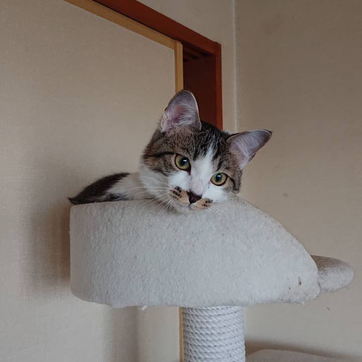 E5771fe9 122b 4983 be61 9a26d5044313 1552187218993