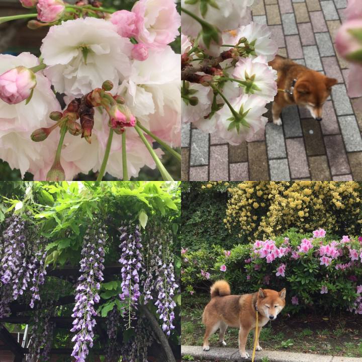 E5772494 eaa5 45a1 b9e6 78f3eba5de80 1556333932791