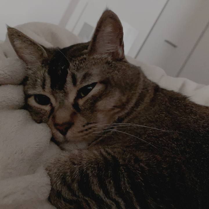 E577294b 5450 45a3 af80 35623379205d 1715531903850