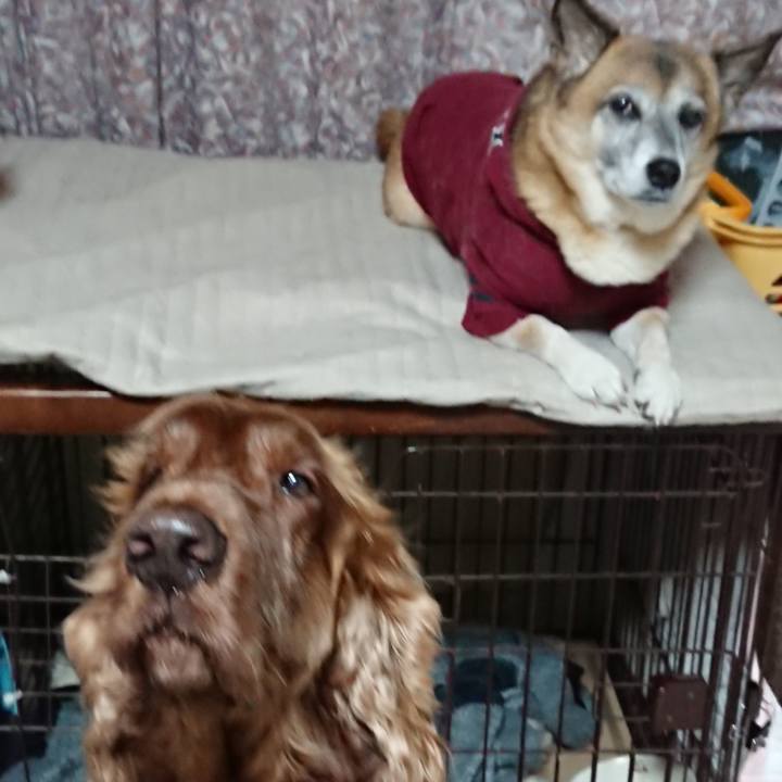 E5772bdc 3f2f 4561 8aa3 3dbcd335a26f 1575468781307