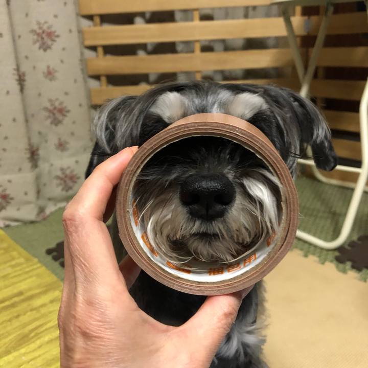 E5773c35 d75e 4741 8de8 27a22ecaff0d 1682245136159