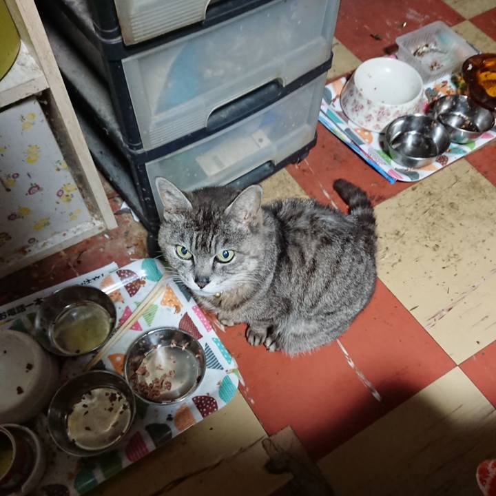 E5778ded 5706 4ba6 bb16 296e1f0392d8 1590177859967