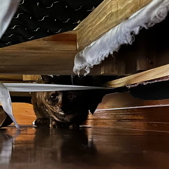 E577a02b 398e 47c8 b5b3 42549834606f 1719492493251