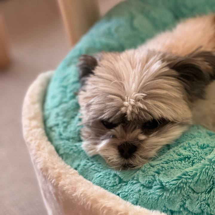 E577a677 b74e 44d4 92f4 3f66e30c4192 1640041979846