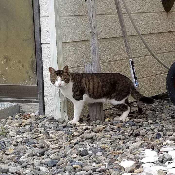 E577c13c 8751 4325 9c2d fb627730d310 1532427494423