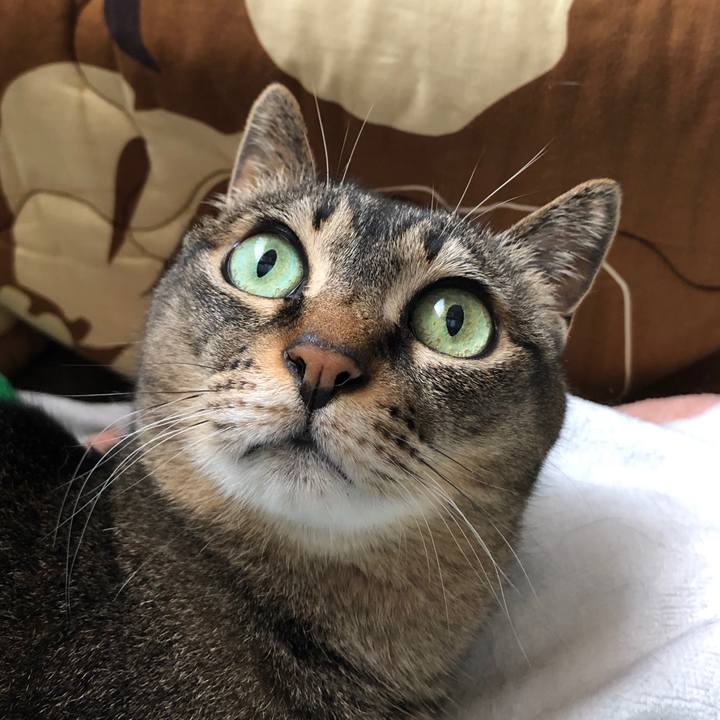 E57826e6 c104 4f24 8296 be50c6ae4720 1591063649202