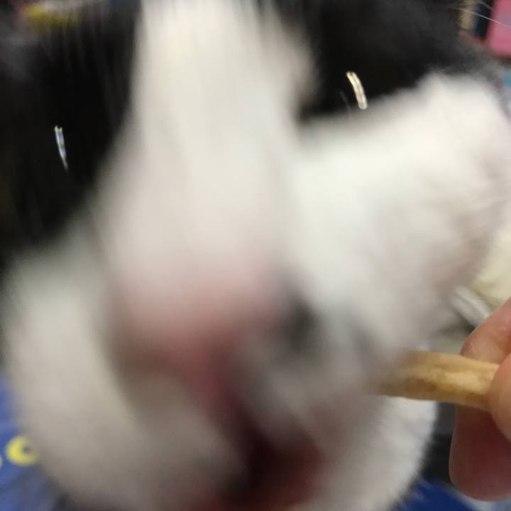 E5784635 01e5 474a a72c bd40f968f6c3 1568686665722